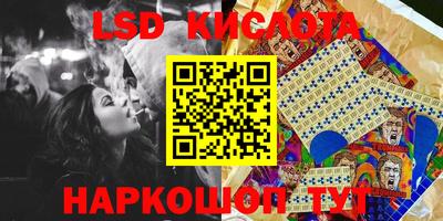 шишки Лесосибирск