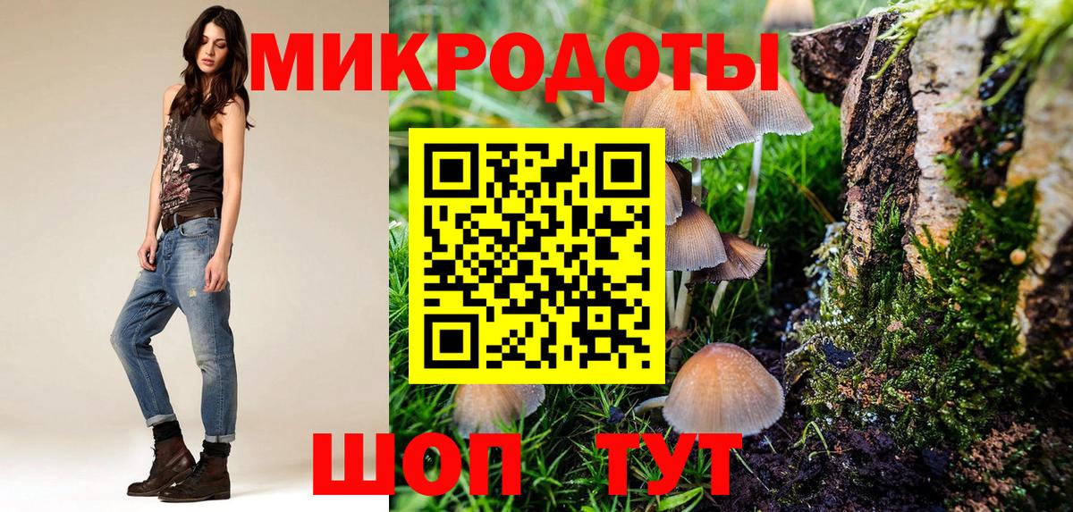 Зеленогорск  как найти закладки  Псилоцибиновые грибы MAGIC MUSHROOMS  Вход с VPN  Псилоцибиновые грибы Psilocybine cubensis 