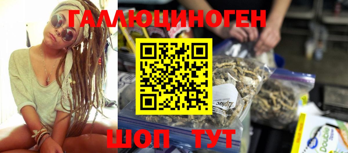 Псилоцибиновые грибы мицелий Зеленогорск